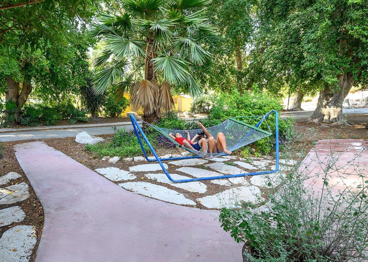Jordan Valley Birding Lodge Kefar Ruppin 외부 사진