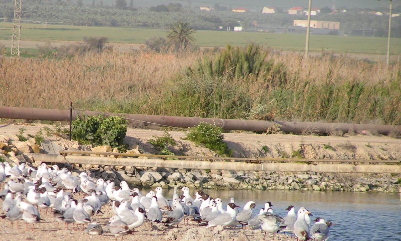 Jordan Valley Birding Lodge Kefar Ruppin 외부 사진