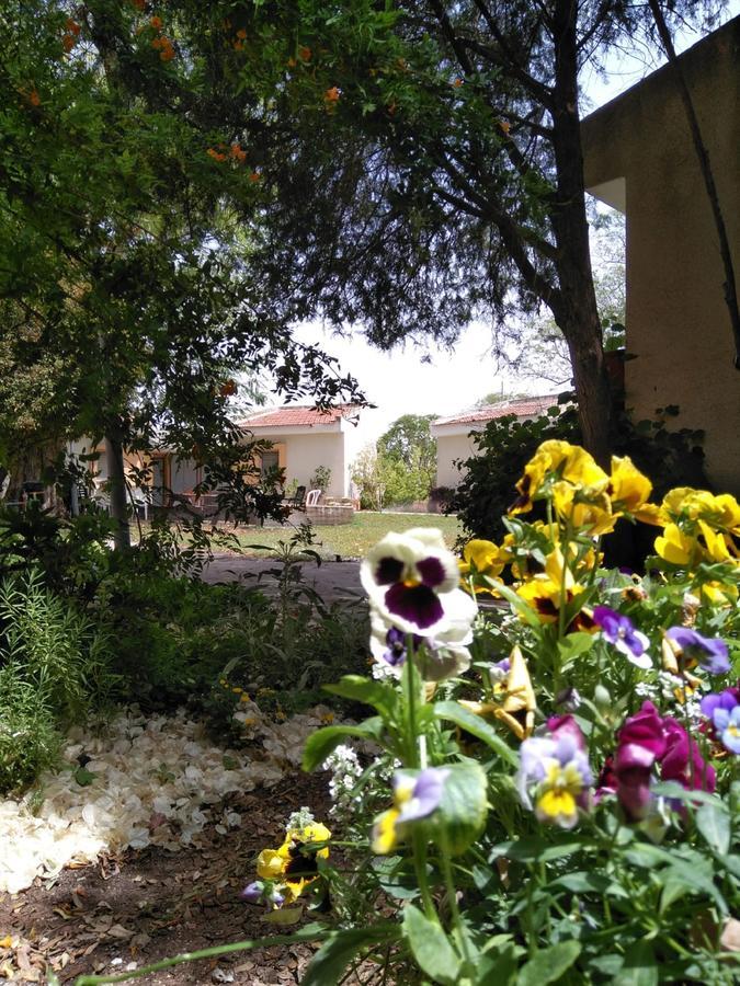 Jordan Valley Birding Lodge Kefar Ruppin 외부 사진